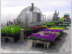 Greenhouse